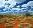 Αυστραλίας outback
